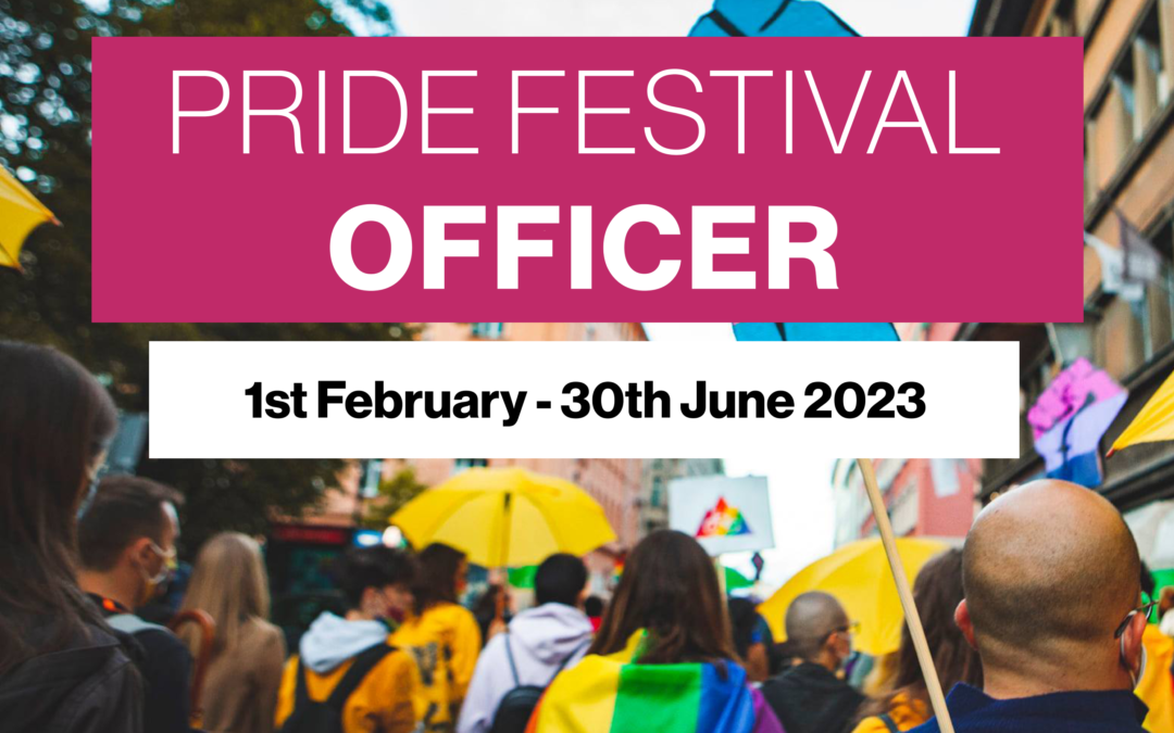 Ljubljana Pride Association is looking for a Pride Festival Officer